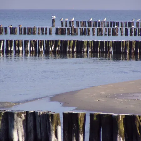 Kuddels Fischerhus 2 *